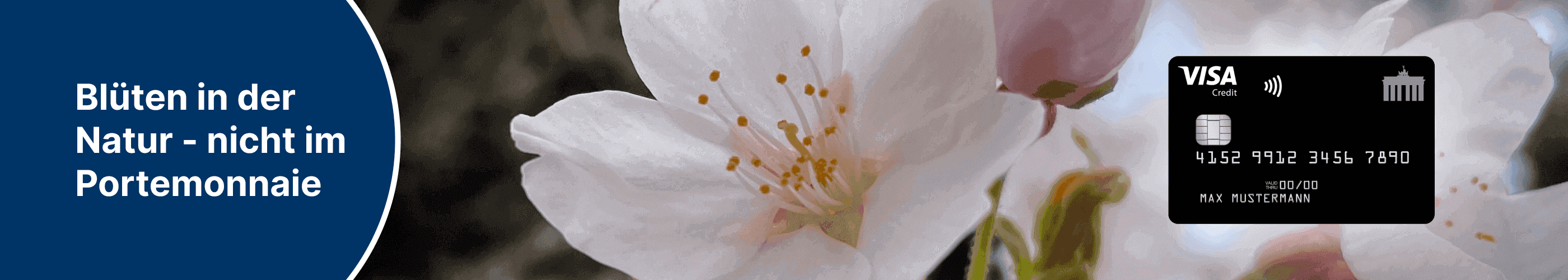 banner-blueten-in-der-natur