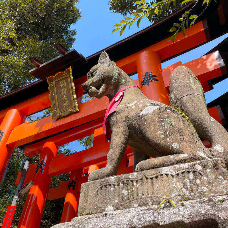 fushi-inari-1000-schreintore