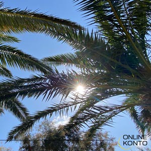 Palmen-Urlaub-Sonne_Onlinekonto
